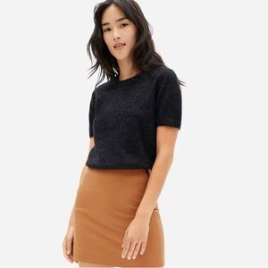 Everlane Alpaca Sweater Tee